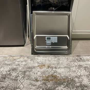Franke FDW 614 D6P Dishwasher Keeps Failing - Customer Service Ignored