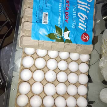 BİM’den Aldığım Yumurtalar Küflü Ve Bozuk Çıktı, Mağduriyetim Giderilmiyor