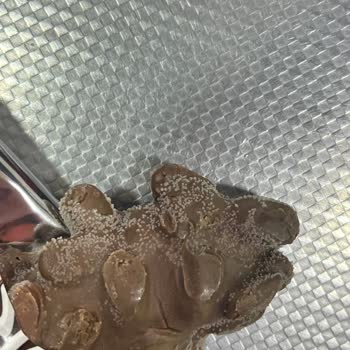 Eti Canga Ürünlerinde Tekrarlayan Beyaz Leke Sorunu Ve Yetersiz Müşteri Hizmeti