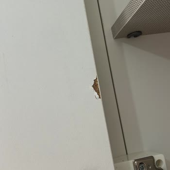 Aldığım Düğün Paketi Kusurlu Çıktı, Mağaza Ve Servis Sorunlarımı Çözmüyor