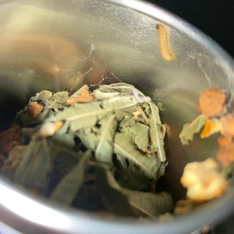 Aldığım Melisa Çayının İçinden Kurt Ve Örümcek Ağı Çıktı, Hijyen Büyük Risk Taşıyor