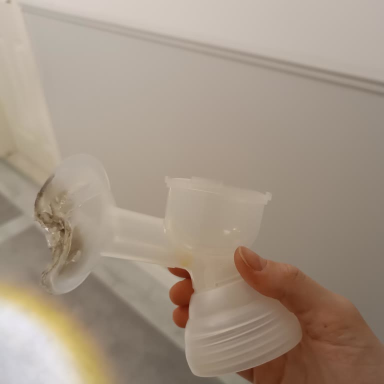 Wee Baby Göğüs Pompası İçin Yedek Parça Bulamıyorum