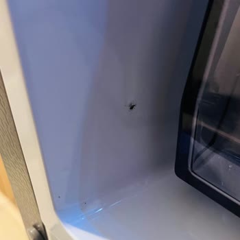 Arçelik Buzdolabında Tekrarlayan Böcek Sorunu Sağlığımı Tehdit Ediyor