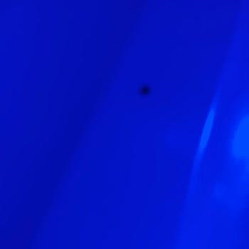 Arçelik Buzdolabında Tekrarlayan Böcek Sorunu Sağlığımı Tehdit Ediyor