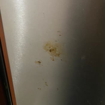 3 Yılda Paslanan Vestel Buzdolabı İçin Mağduriyet Ve Açıklama Talebi