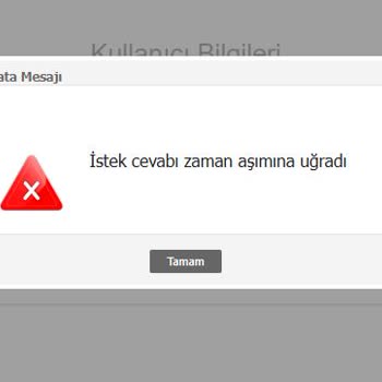 E-arşiv Portalı Sürekli Zaman Aşımı Hatası Nedeniyle Fatura Kesemiyorum