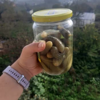 Son Kullanma Tarihi Geçmemiş Turşunun Bozuk Çıkması Şaşkınlık Yarattı