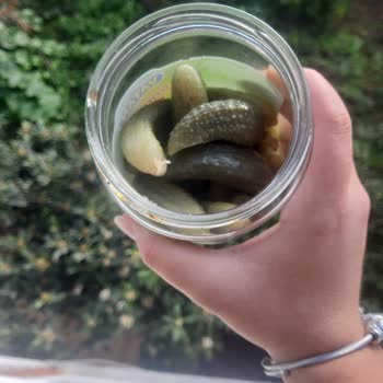 Son Kullanma Tarihi Geçmemiş Turşunun Bozuk Çıkması Şaşkınlık Yarattı