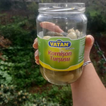 Son Kullanma Tarihi Geçmemiş Turşunun Bozuk Çıkması Şaşkınlık Yarattı