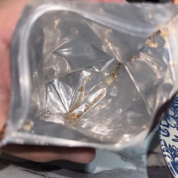 Aldığım Cevizden Kurt Çıktı, Sağlığımız Tehlikede!