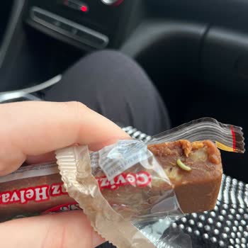 Koska Yaz Helvası'ndan Kurt Çıktı!