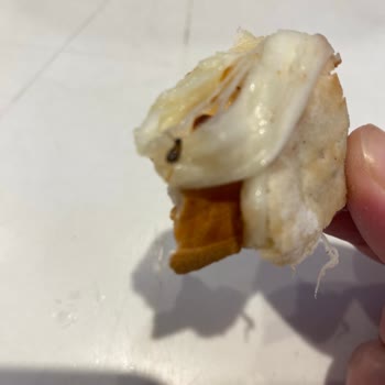 Siparişimde Böcek Çıkması Ve Restoran Yetkililerinin İlgisizliği