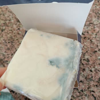 Son Kullanma Tarihi Geçmemiş Peynirde Küf Sorunu Yaşadım