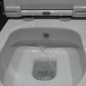 Bocchi Asma Klozetlerde Sürekli Su Kaçağı Ve Kapak Sorunları
