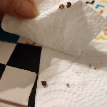 Kurtuluş Orman Çiftliği Kişniş Tohumunda Hijyen Sorunu Ve İlgisiz Müşteri Hizmetleri!