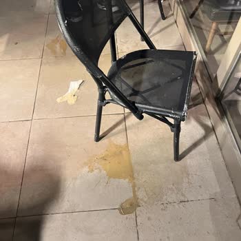 Starbucks Şubesinde Hijyen Sorunu Ve İletişim Eksikliği