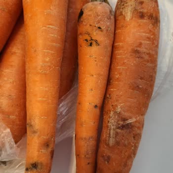 Migros Sanal Marketten Bayat Ve Çürük Sebze Meyve Teslimatı