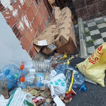 Çöp Birikintileri Nedeniyle Oluşan Fare Sorunu Ve Sağlık Tehlikesi