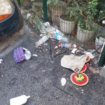 Çöp Birikintileri Nedeniyle Oluşan Fare Sorunu Ve Sağlık Tehlikesi