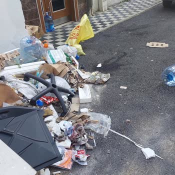 Çöp Birikintileri Nedeniyle Oluşan Fare Sorunu Ve Sağlık Tehlikesi