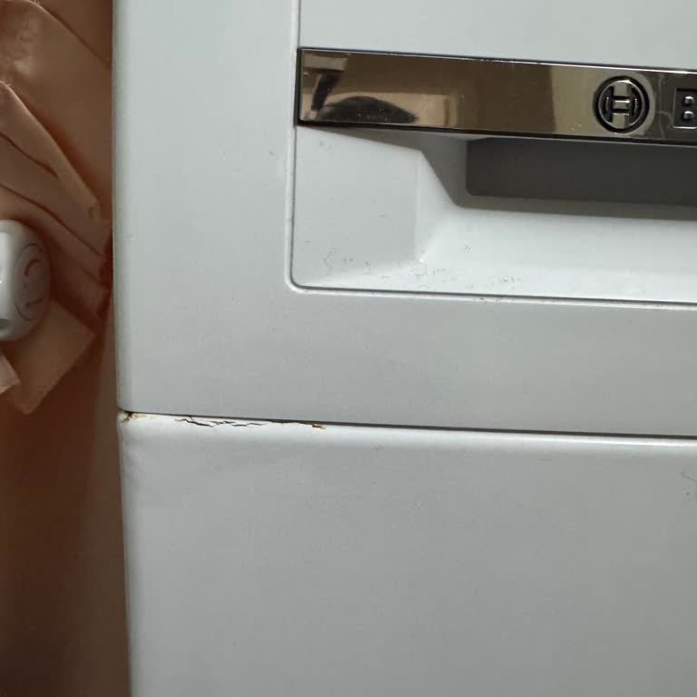 Bosch Çamaşır Makinem Paslanıyor Ve Çamaşırlarımı Yırtıyor, Çözüm Bekliyorum