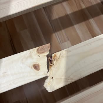 İlk Kullanımda Hemnes Divan Çıtası Kırıldı Müşteri Hizmetleri Dönüş Yapmadı