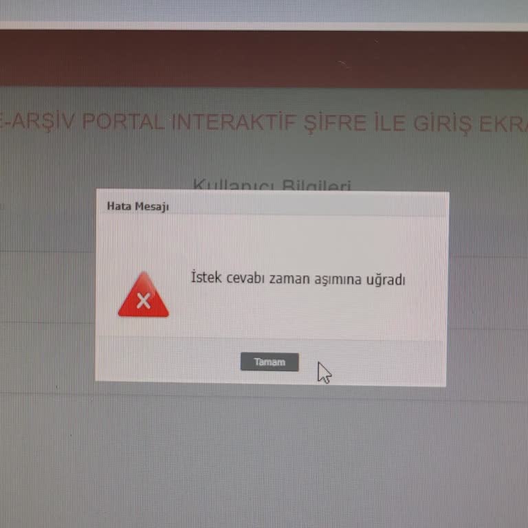E-arşiv Portalı'na Giriş Sorunu Nedeniyle Fatura Kesemiyorum