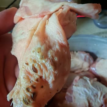 Satın Aldığım Sarma Ürünü Bozuk Ve Son Kullanma Tarihi Yoktu