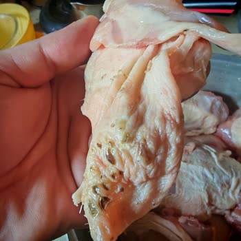 Satın Aldığım Sarma Ürünü Bozuk Ve Son Kullanma Tarihi Yoktu