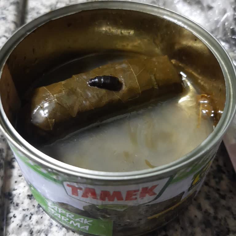 Konserve Sarmada Böcek Çıkması Nedeniyle Hijyen Ve Sağlık Endişesi Yaşadım