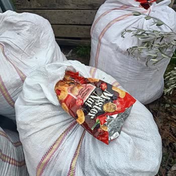 Mahalle Çöp Konteynerine Dışarıdan Atık Atılması Ve Gerekli Önlemlerin Alınmaması