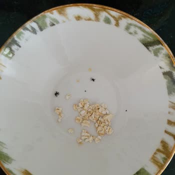 Eti Lifalif Yulaf Ezmesi'nde Pakette Tanımlanamayan Siyah Maddelerle Karşılaştım