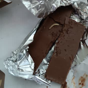 Torku Sütlü Çikolatada Kurt Ve Pütürcük Şoku Sağlığım Tehlikeye Girdi