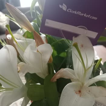 Solmuş Çiçek Teslimatı Ve Müşteri Hizmetlerine Ulaşılamadı