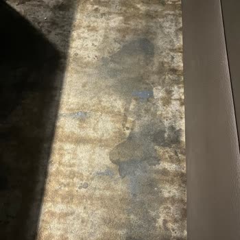 Sinema Salonunda Hijyen Eksikliği Ve Kafeterya Personelinin İlgisizliği