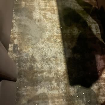 Sinema Salonunda Hijyen Eksikliği Ve Kafeterya Personelinin İlgisizliği