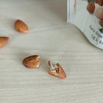 Aldığım Kuruyemişten Kurtçuk Çıkması Nedeniyle Sağlık Ve Güven Sorunu Yaşadım