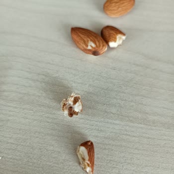 Aldığım Kuruyemişten Kurtçuk Çıkması Nedeniyle Sağlık Ve Güven Sorunu Yaşadım