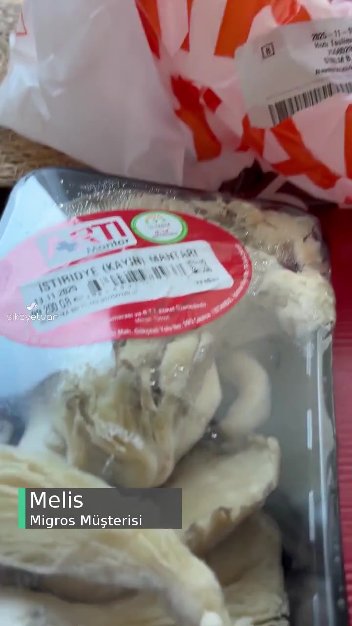 Migros Hemen'den Küflü İstiridye Mantarı videonun kapak resmi