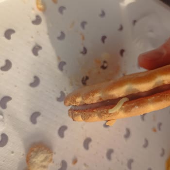 Aldığım Cokoprens Bisküviden Kurt Çıktı Yaşadığım Mağduriyetin Giderilmesini İstiyorum