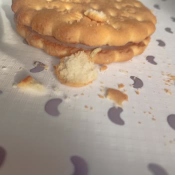 Aldığım Cokoprens Bisküviden Kurt Çıktı Yaşadığım Mağduriyetin Giderilmesini İstiyorum