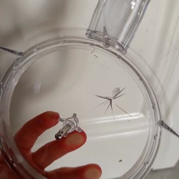 Hasarlı Ve Açılmış Ürün Teslimatı, Yetersiz Müşteri Hizmetleri