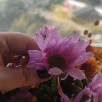 Çiçek Siparişim Solmuş Ve Kötü Durumda Teslim Edildi