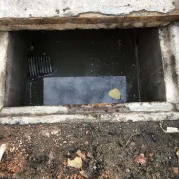 Kanalizasyon Taşma Tehlikesi: Acil Ve Kalıcı Çözüm Bekliyoruz