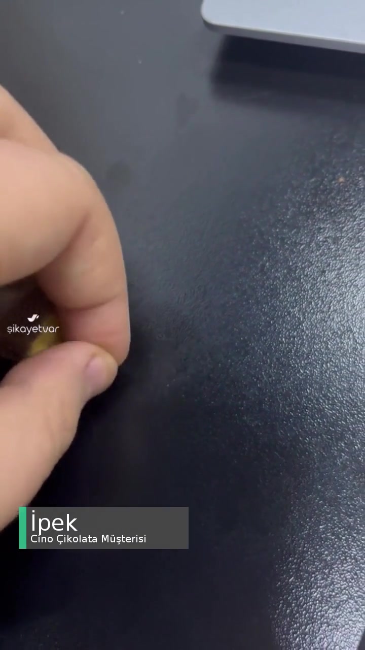Cino Çikolatasında Kıl videonun kapak resmi