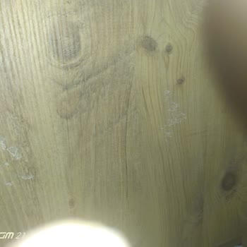 Birlik Nakliyat (birliknakliatengin.com.tr) Zararımın Karşılanmasını İstiyorum