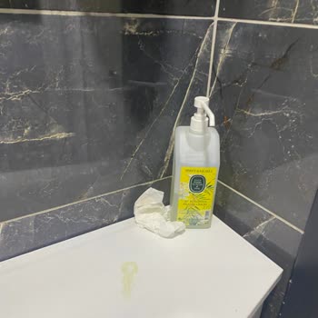 Hospitana International Hizmetten Hiçbir Şekilde Memnun Kalmadım