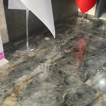 Hospitana International Hizmetten Hiçbir Şekilde Memnun Kalmadım