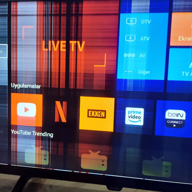 Hi-Level Garanti Sonrası Ciddi Panel Arızası ve İlk Günden Beri Süregelen Ekran Sorunu