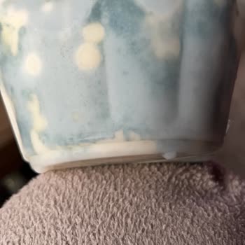 Yeni Alınan Tulum Peynirinin Hızla Küflenmesi Ve Bozulması